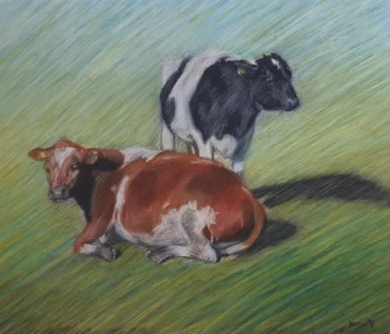 Koeien met pastelkrijt